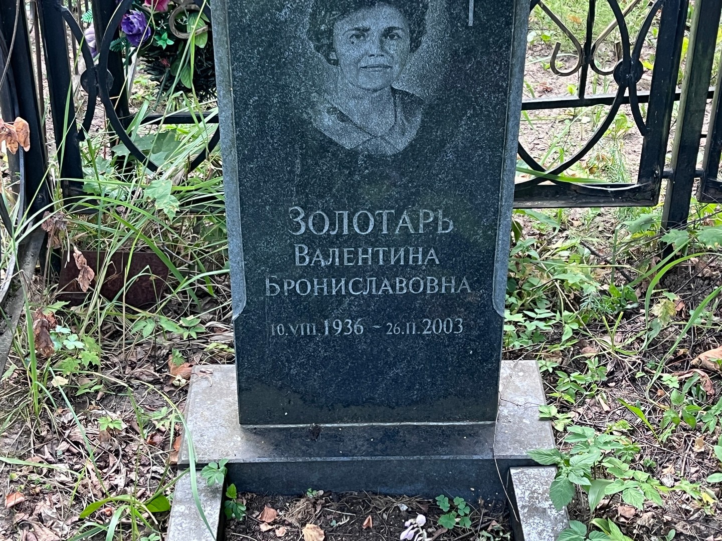 Золотарь