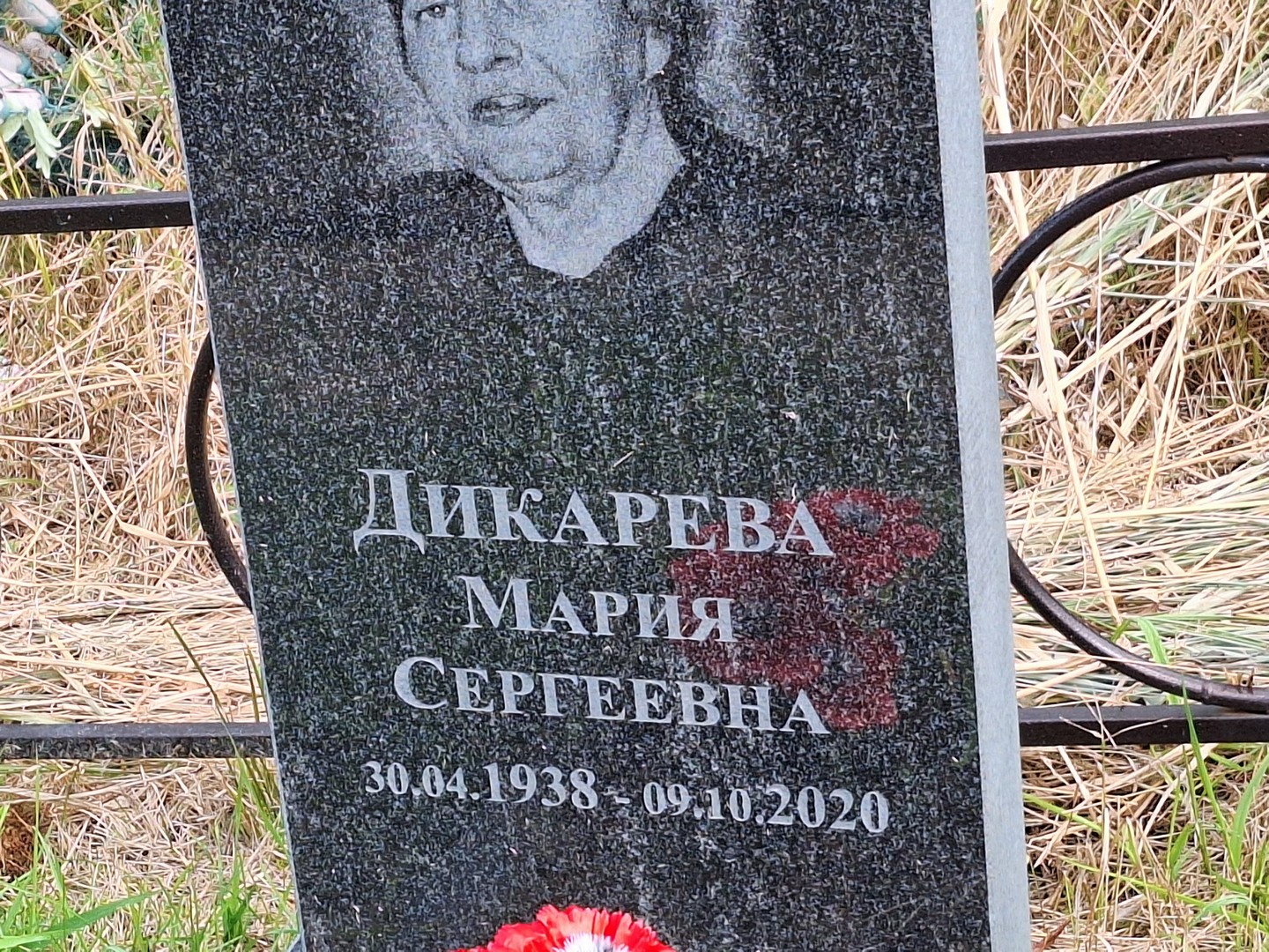 Дикарева