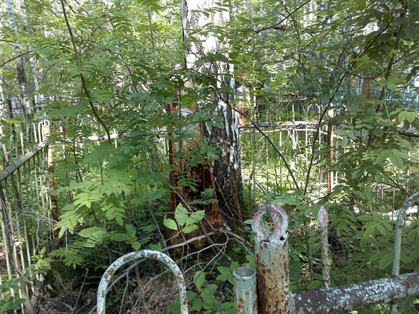 Антонова Варвара Васильевна