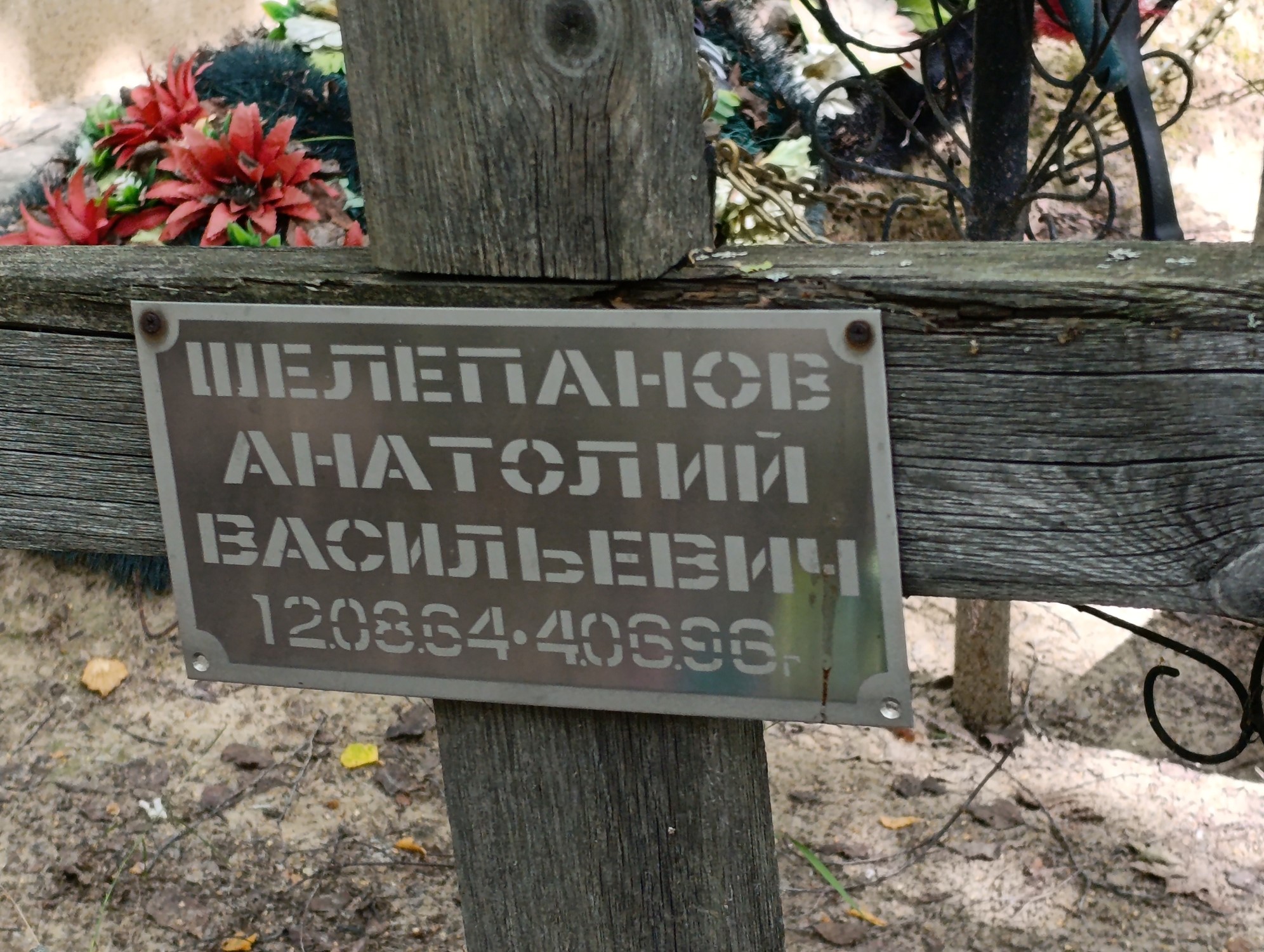 Шелепанов Анатолий Васильевич
