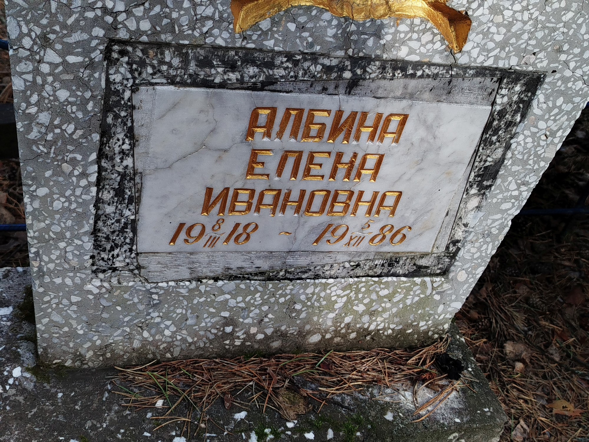 Албина Елена Ивановна