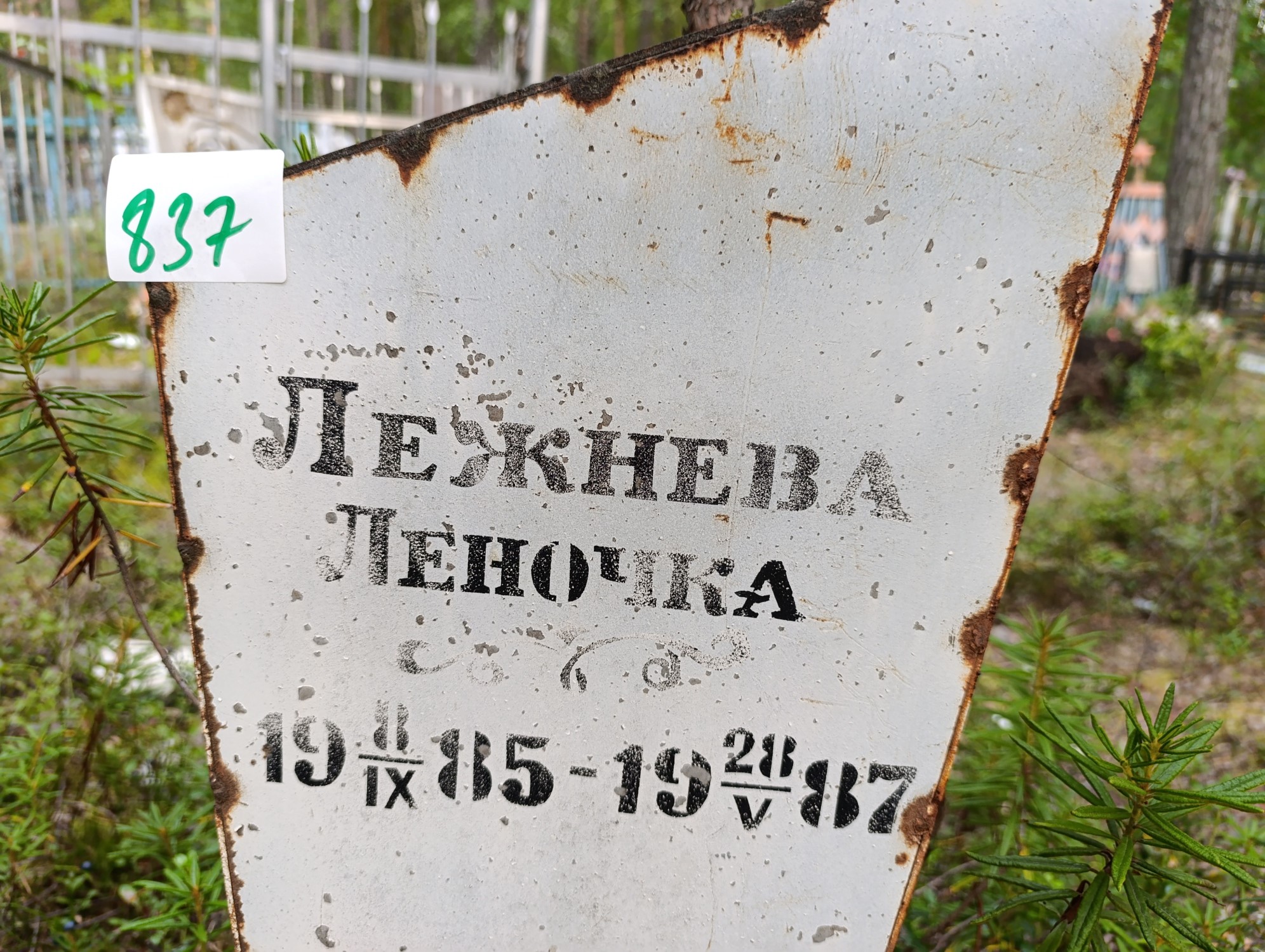 Лежнева Елена