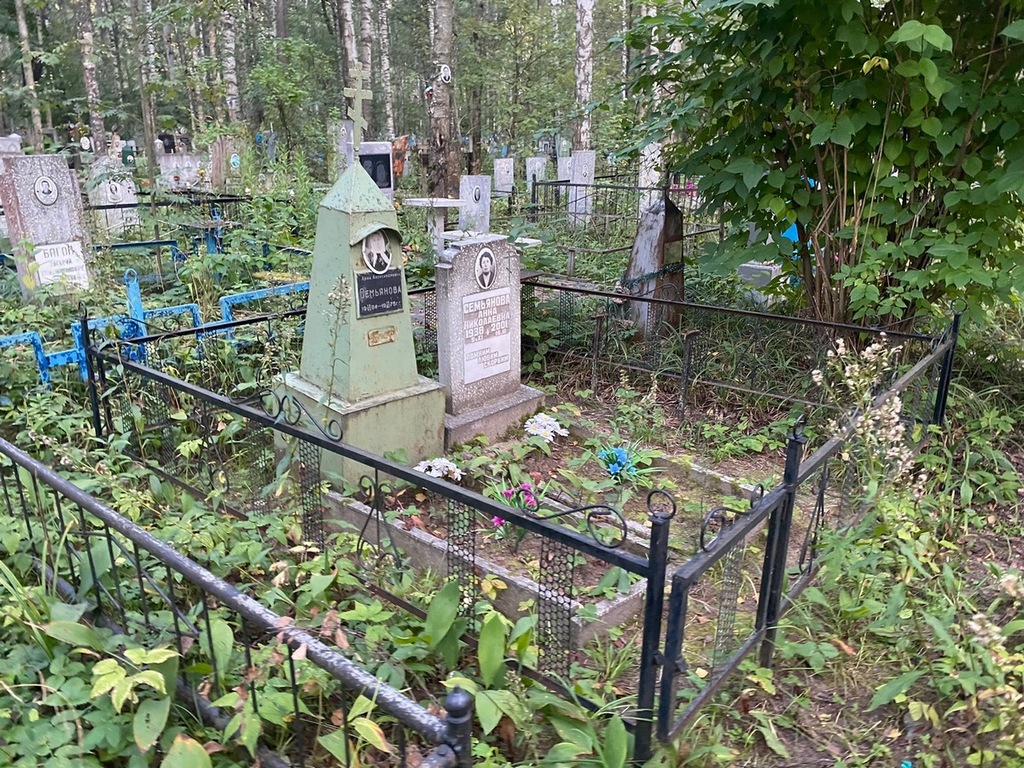 Семьянова Анна Николаевна