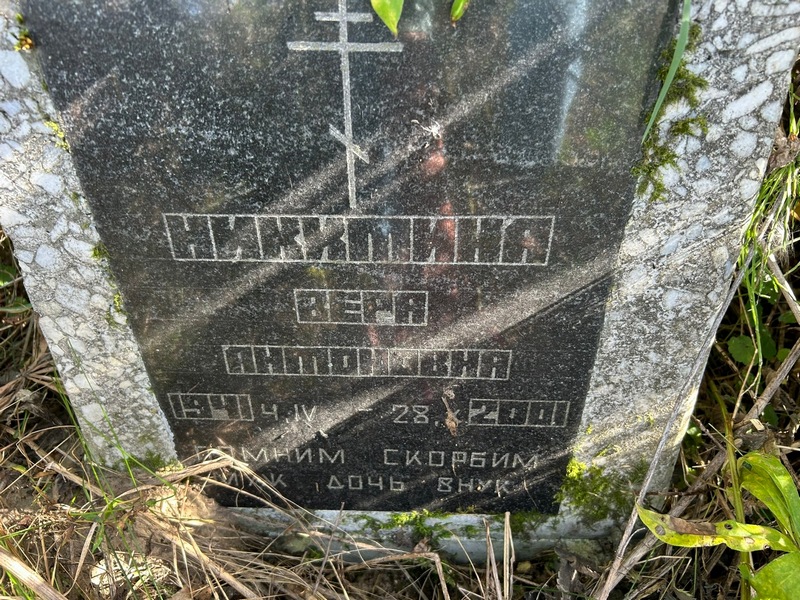 Никитина