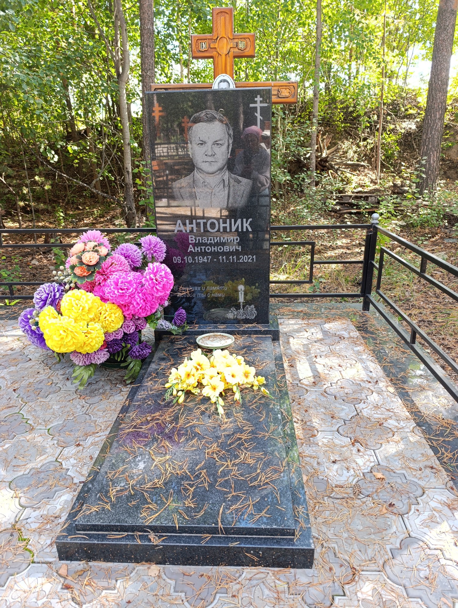 Антоник Владимир Антонович