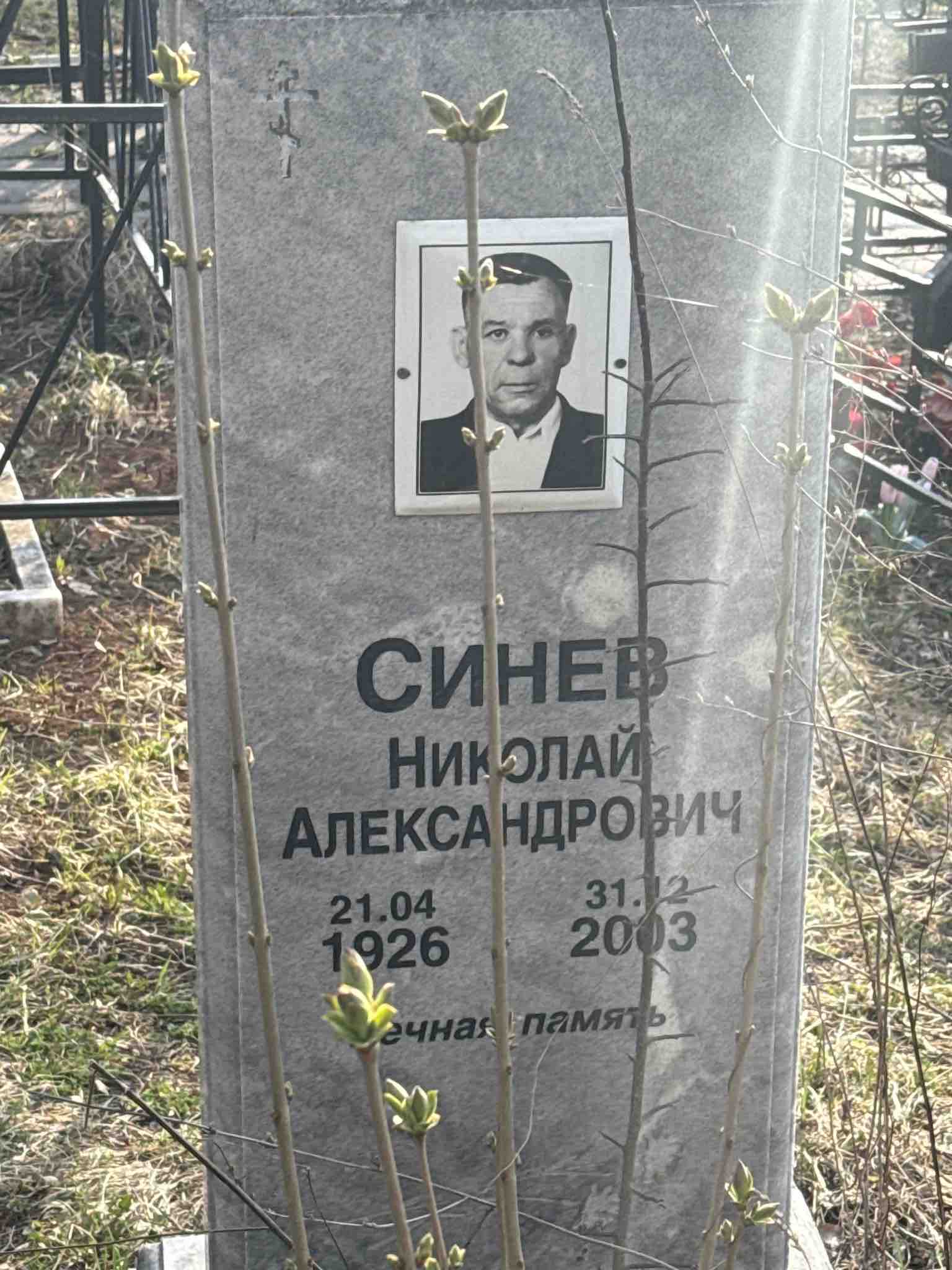 Синев Николай Александрович