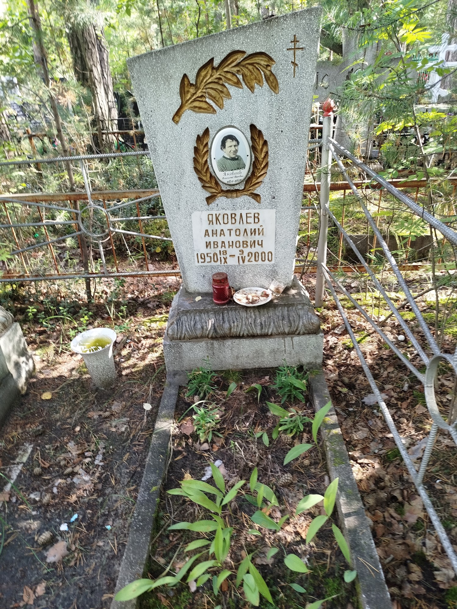 Яковлев Анатолий Иванович
