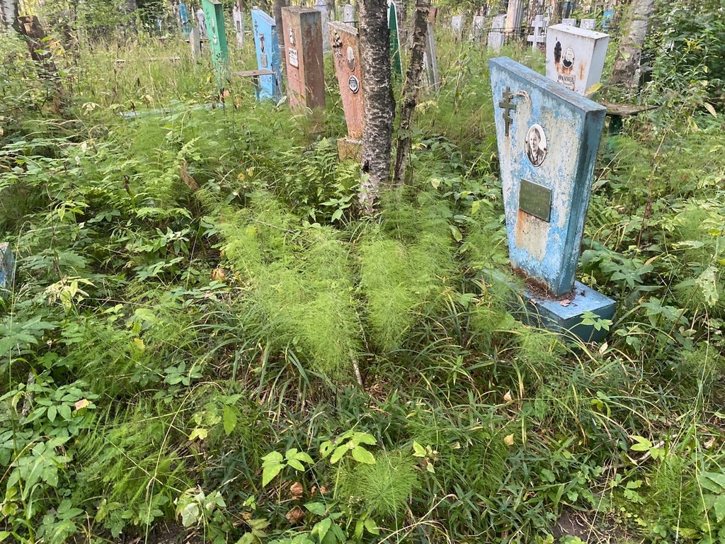 Нарушева Анна Ивановна