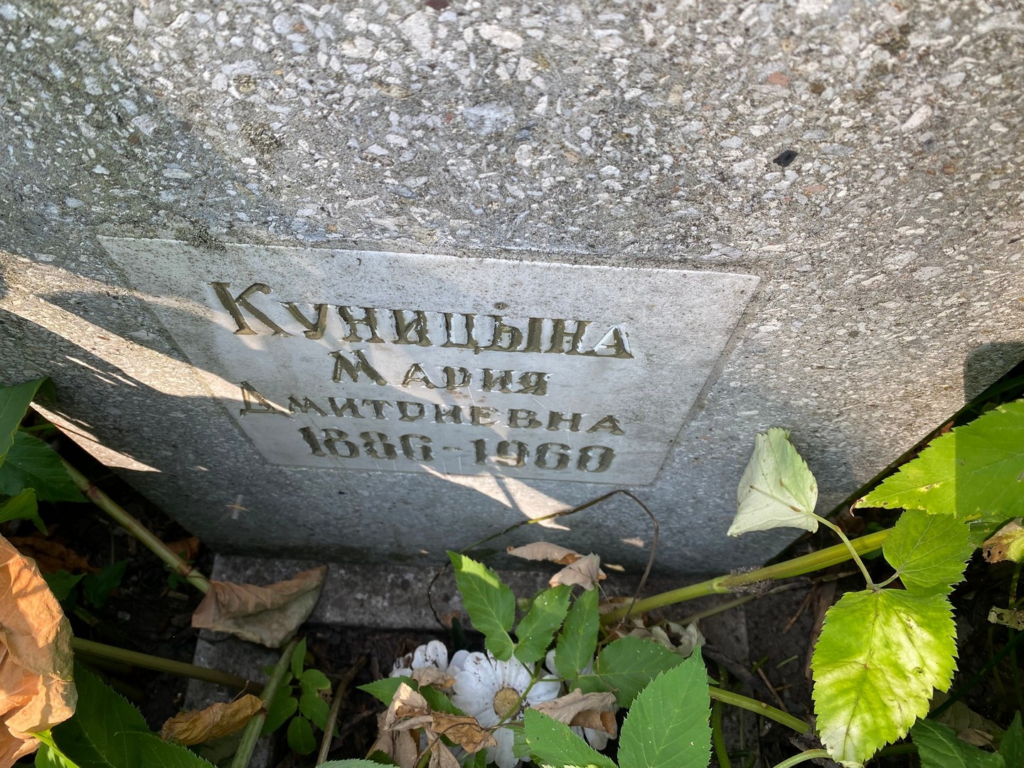 Куницына