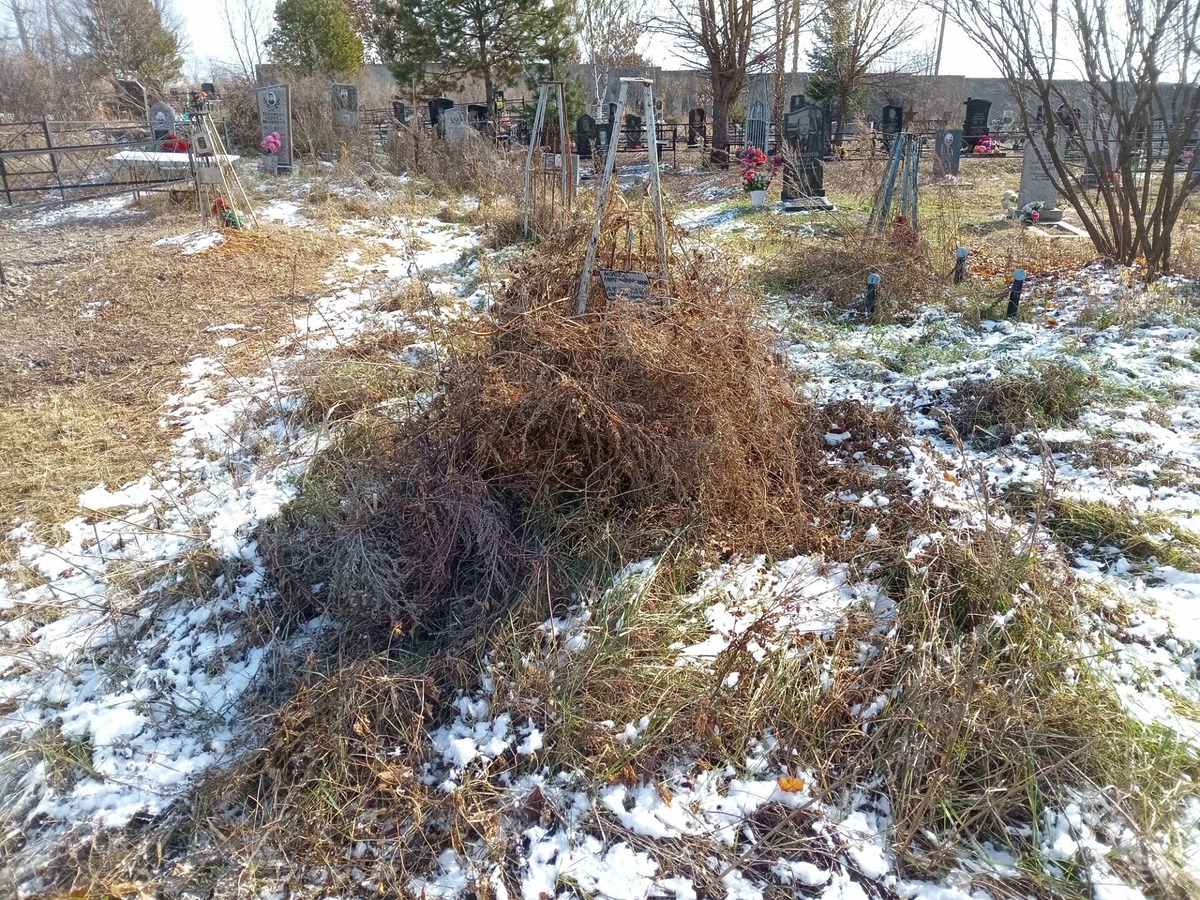 Морозов Александр Фёдорович