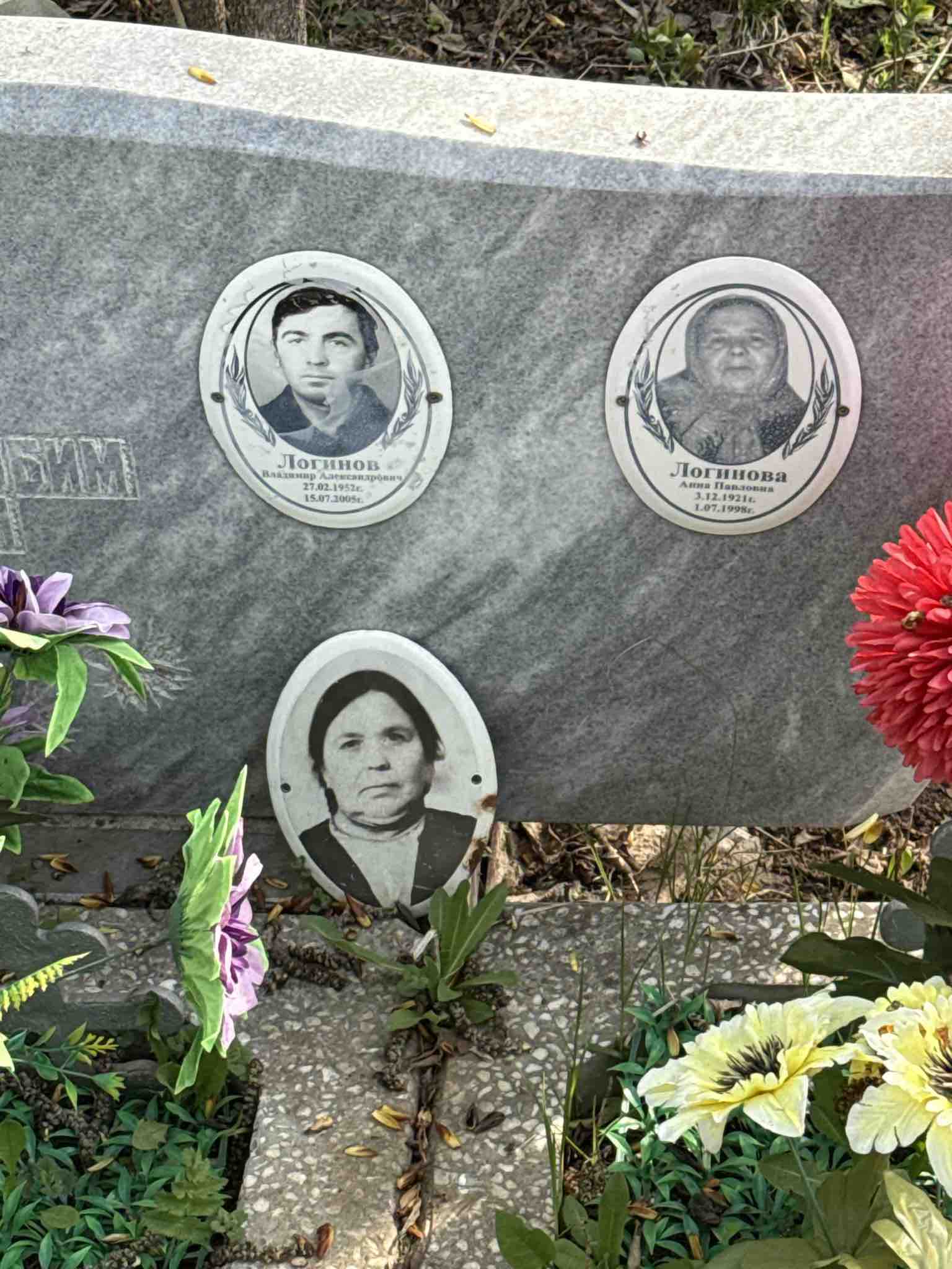 Логинова Анна Павловна