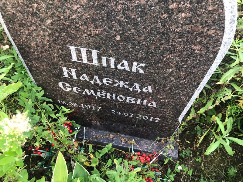 Шпак