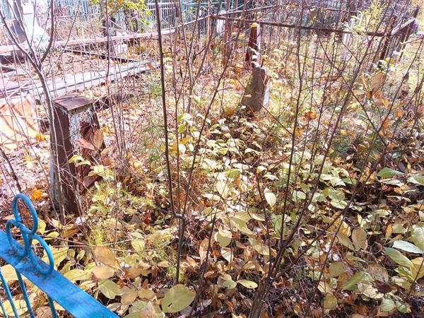 Доровов Александр Зиновьевич