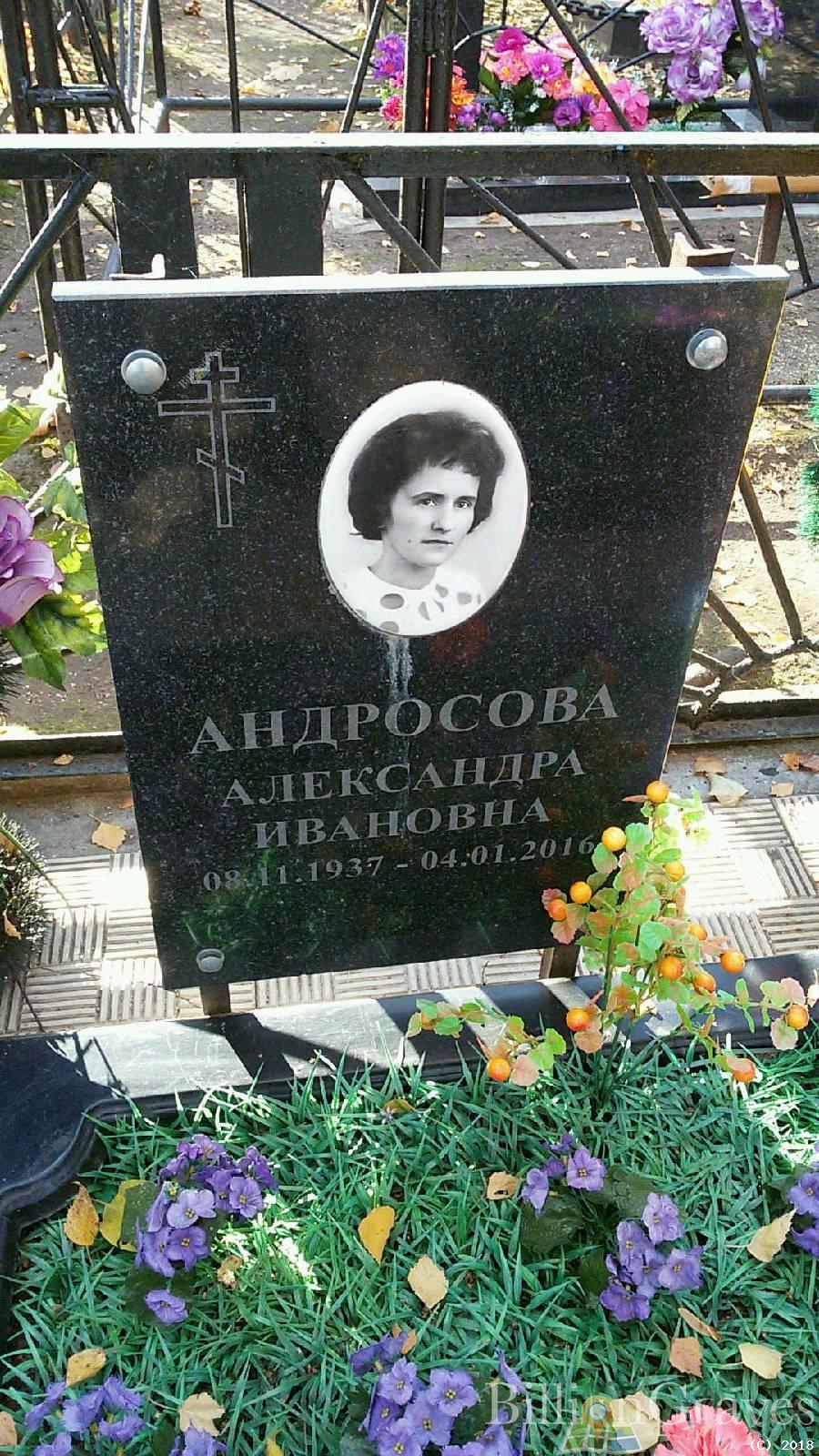 Андросова Александра Ивановна