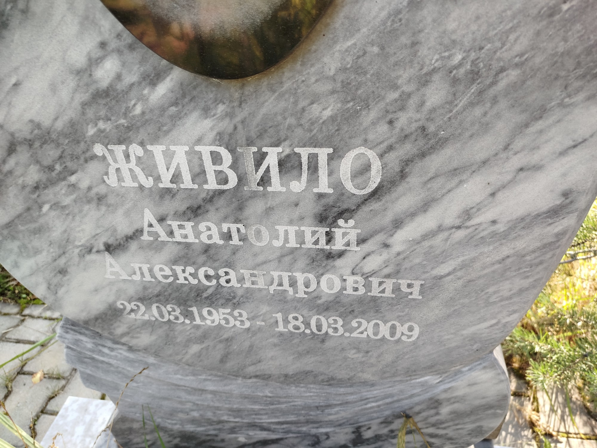 Живило Анатолий Александрович