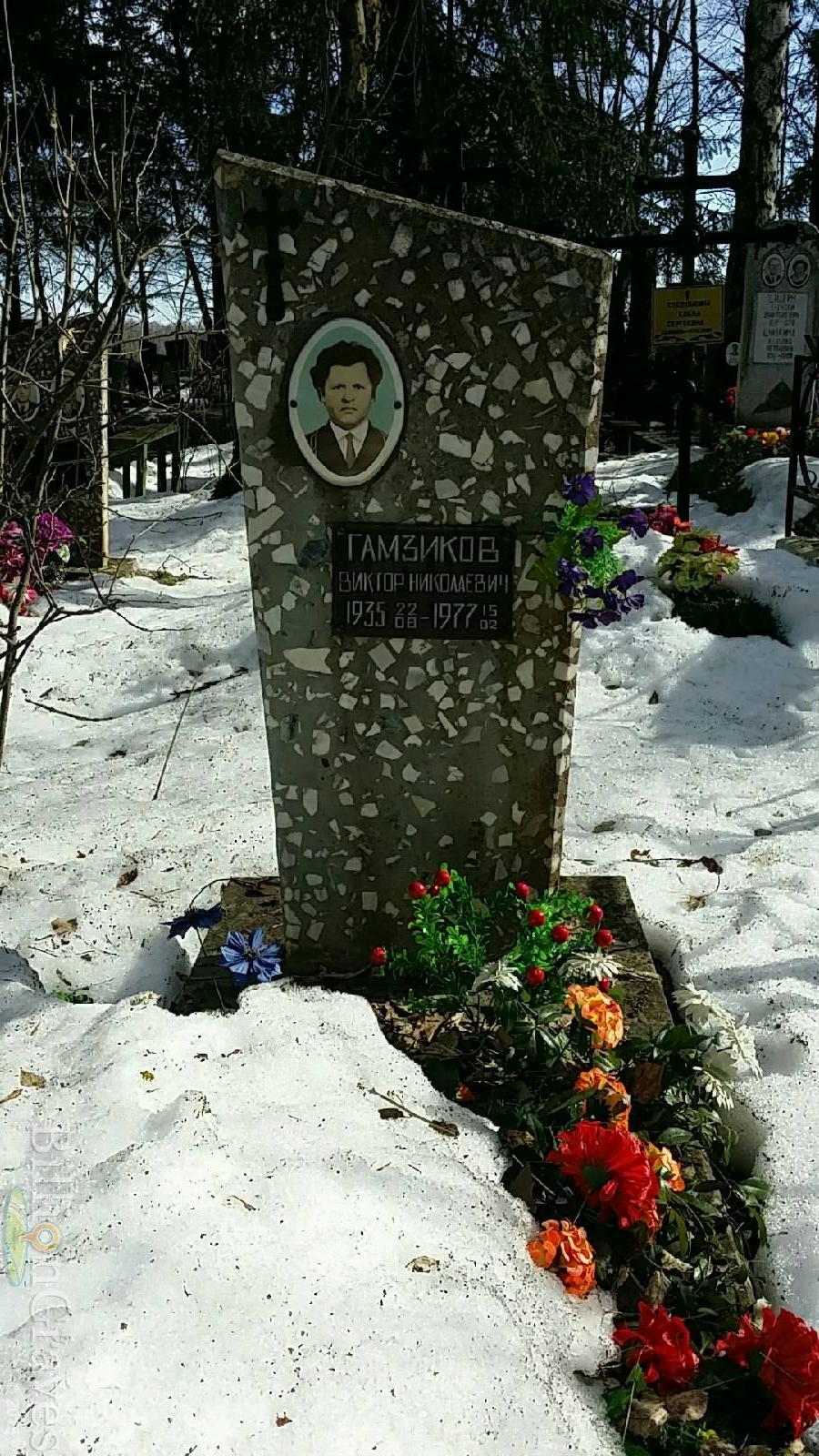 Гамзиков Виктор