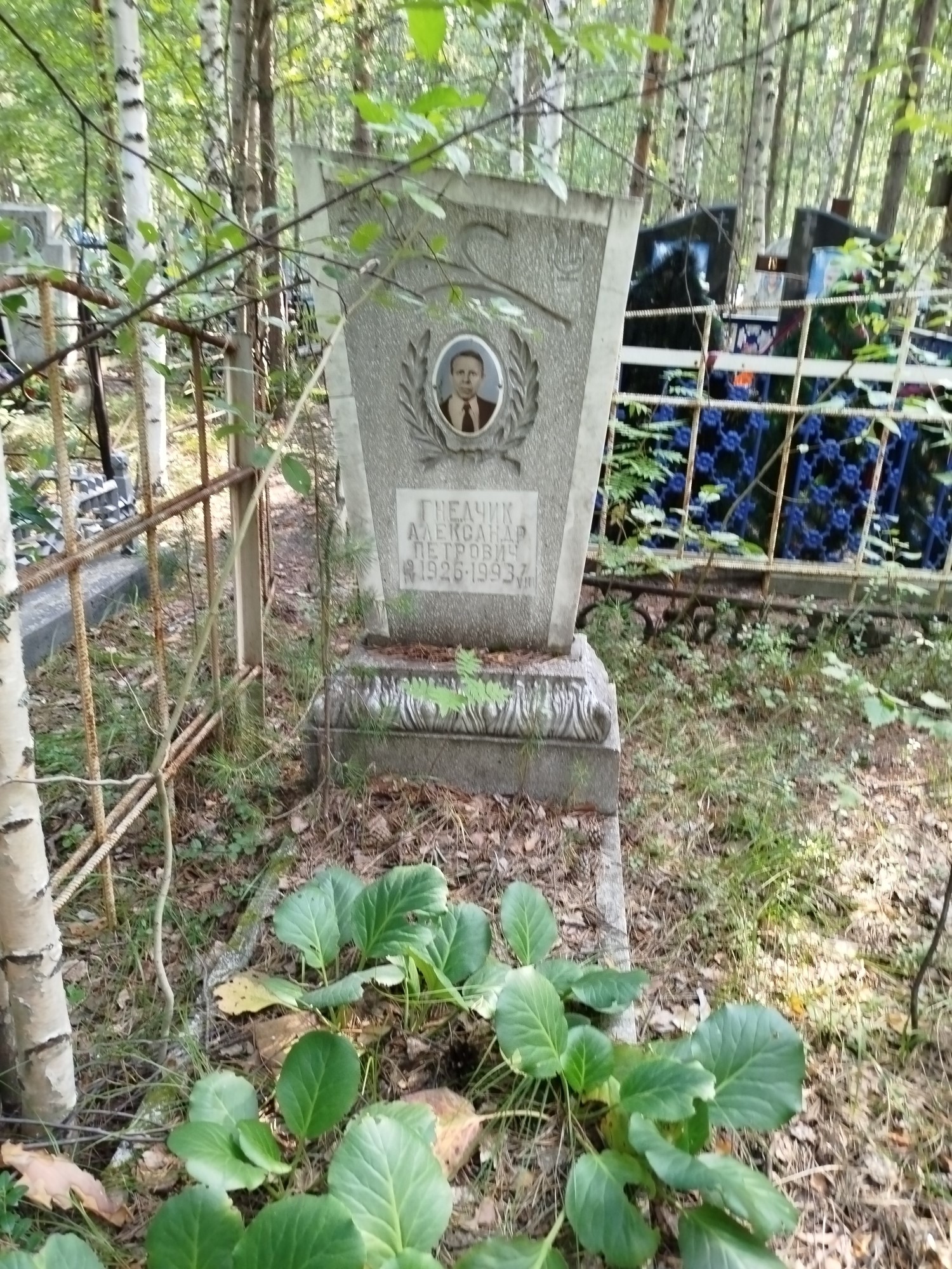 Гнедчик Александр Петрович