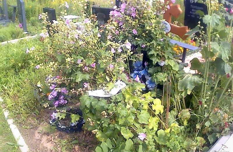 Судаев Анатолий Иванович