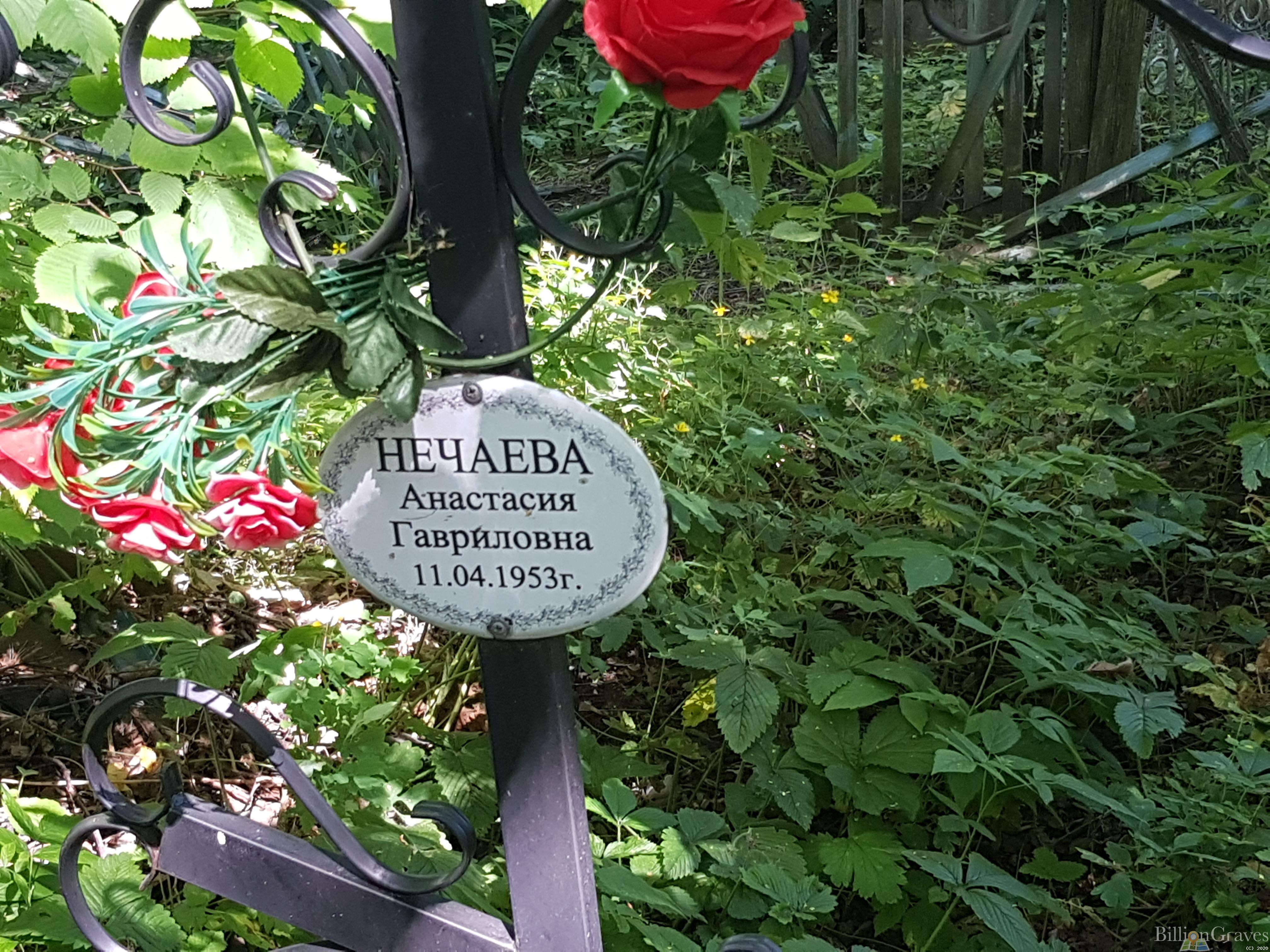 Нечаева Анастасия Гавриловна