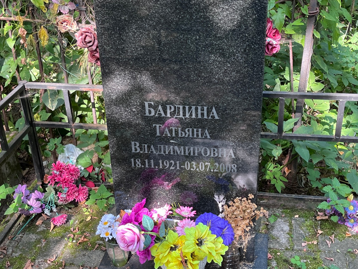 Бардина