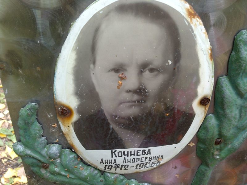 Кочнева