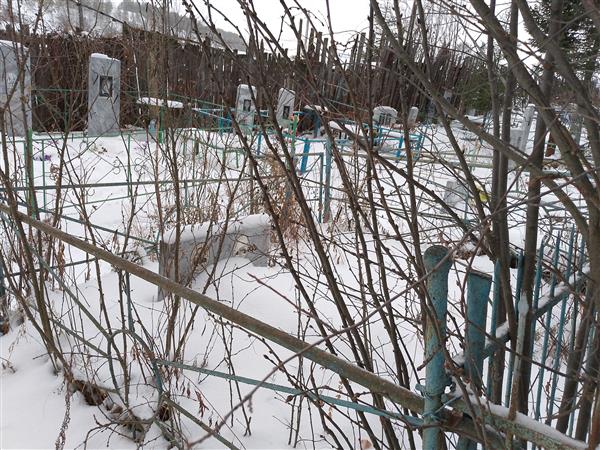 Константинович Константинович