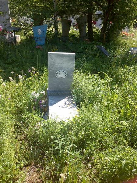 Дружинин Ярослав Олегович