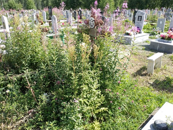Зайцева Светлана Николаевна