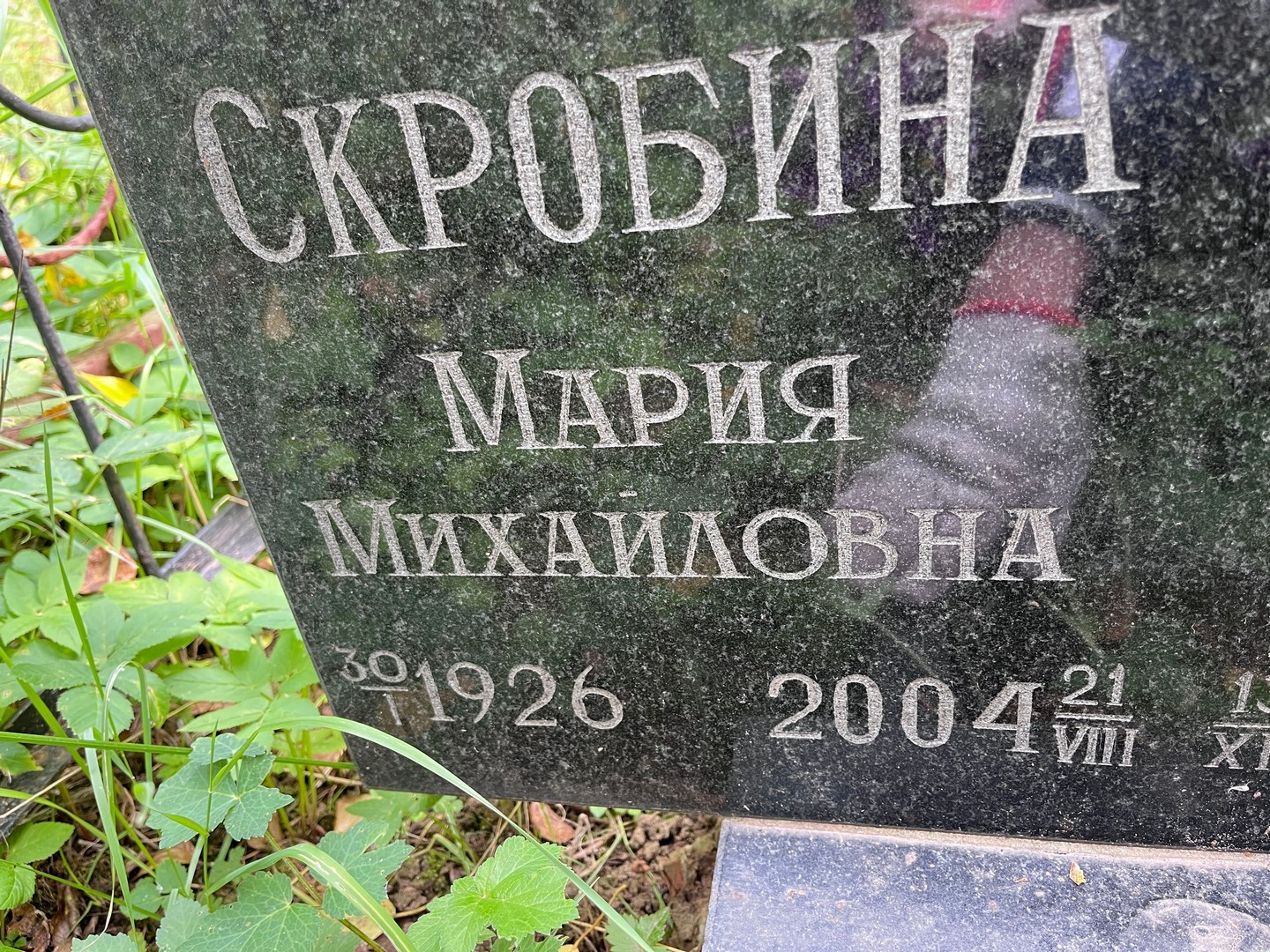 Скробина
