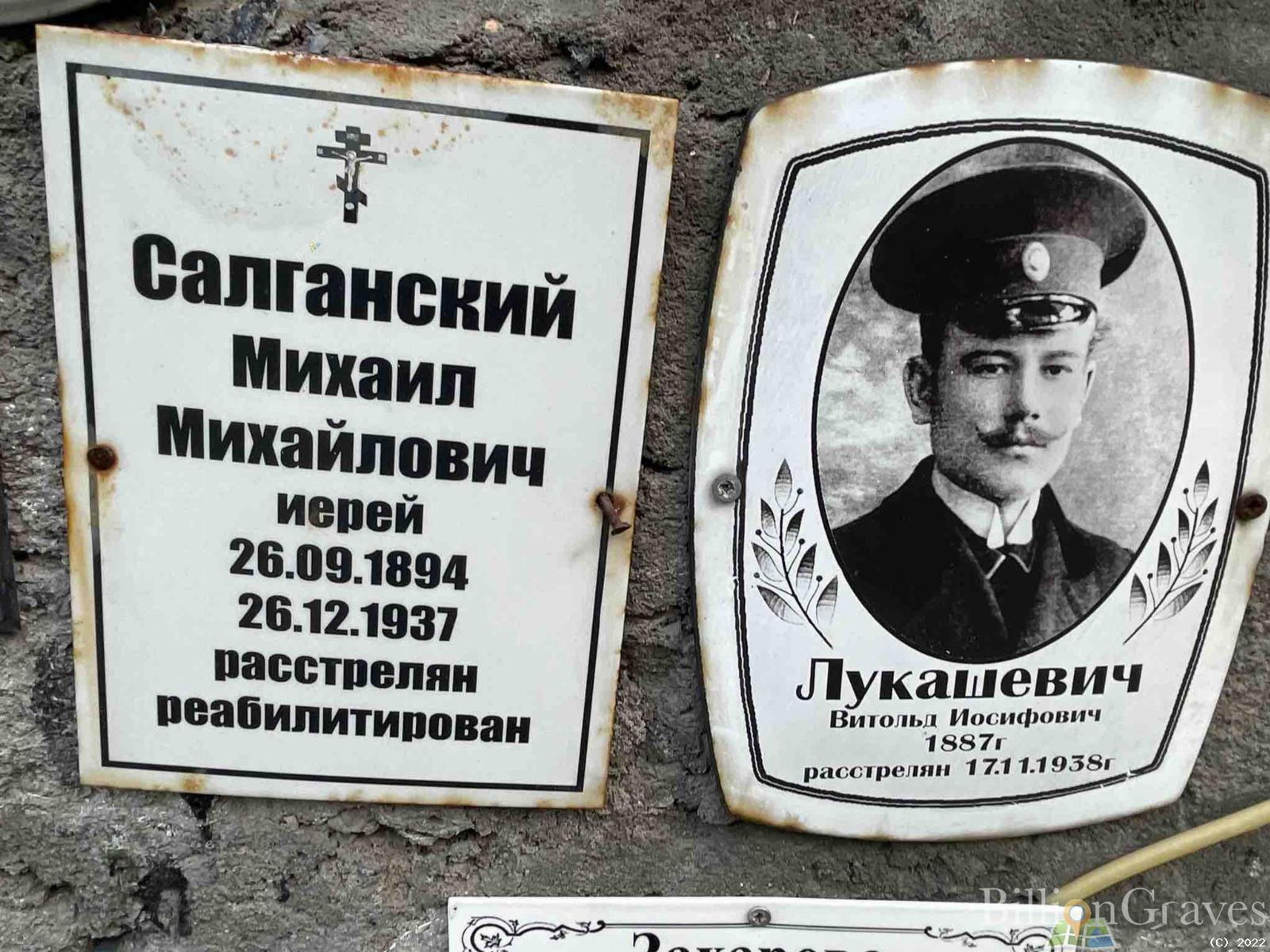 Салганский Михаил Михайлович