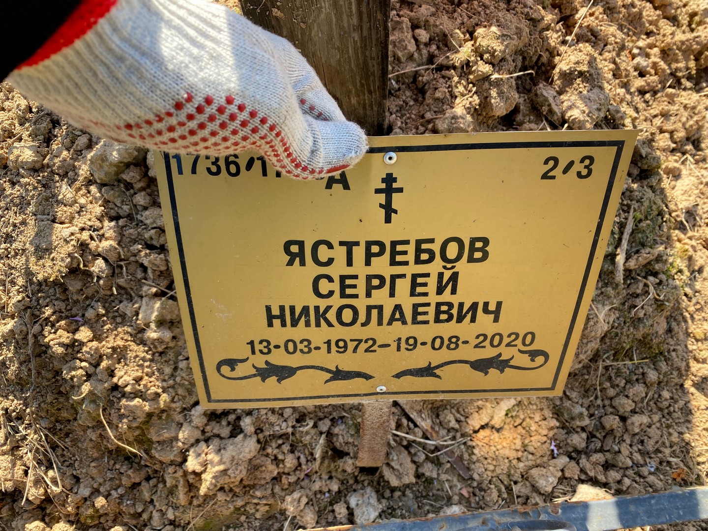 Ястребов