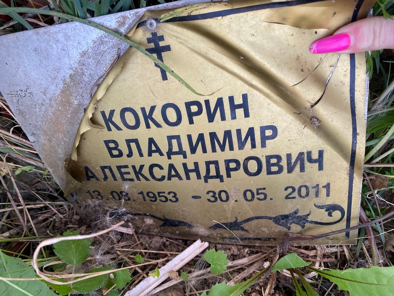 Кокорин