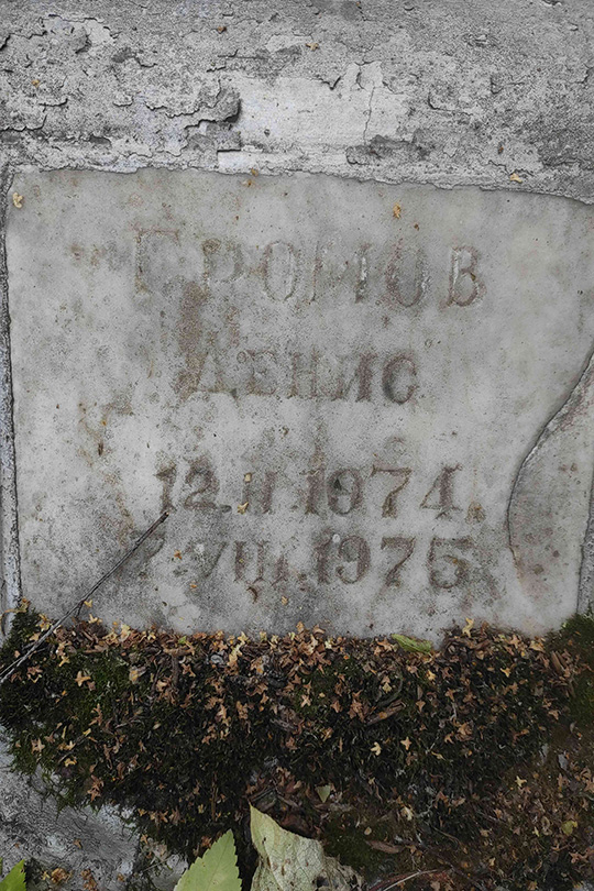 Громов Денис