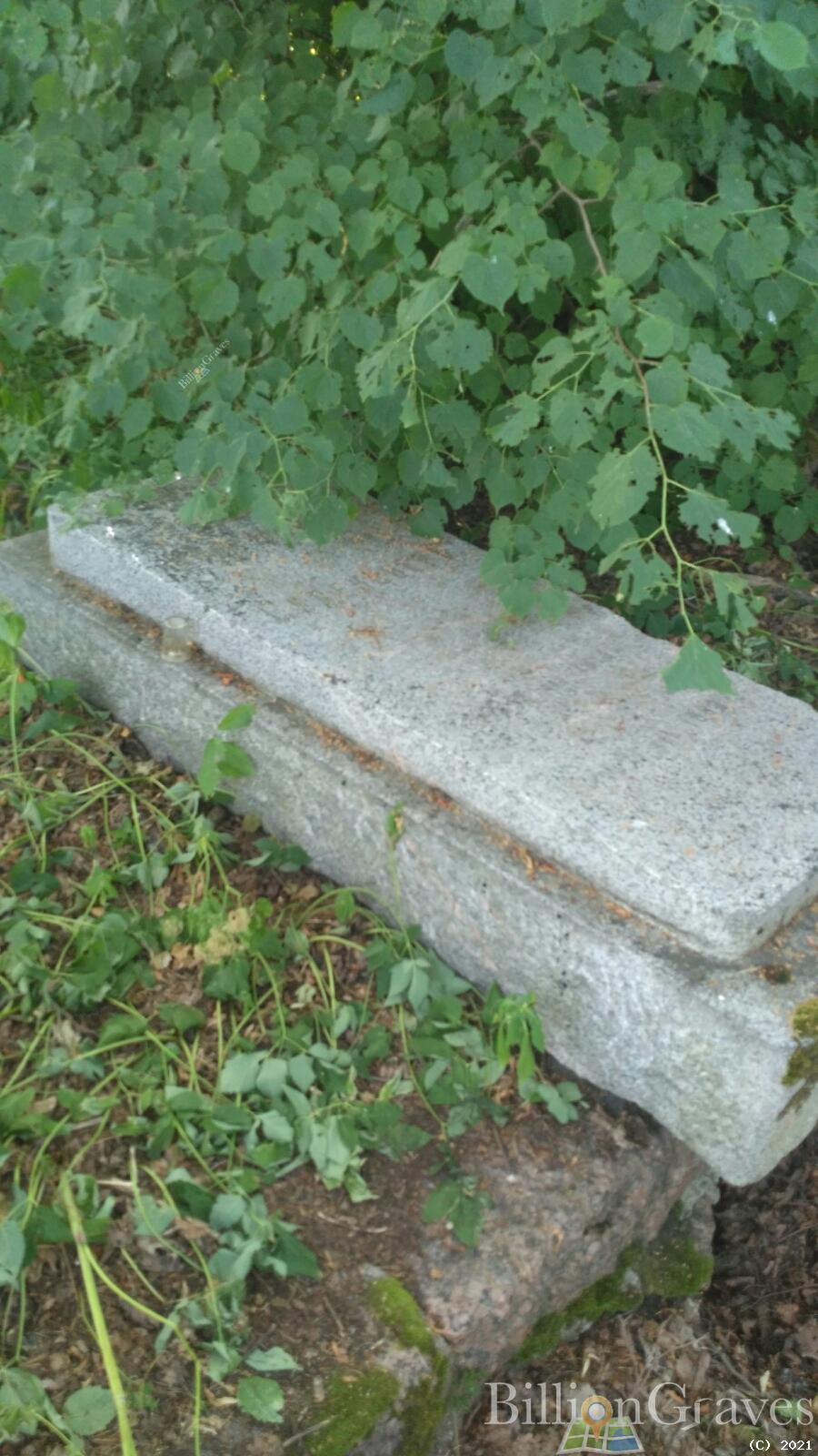 Сиденснер Наталия Михайловна