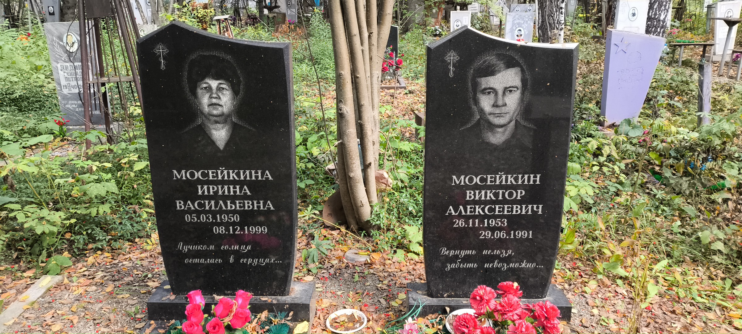 Мосейкин Виктор Алексеевич