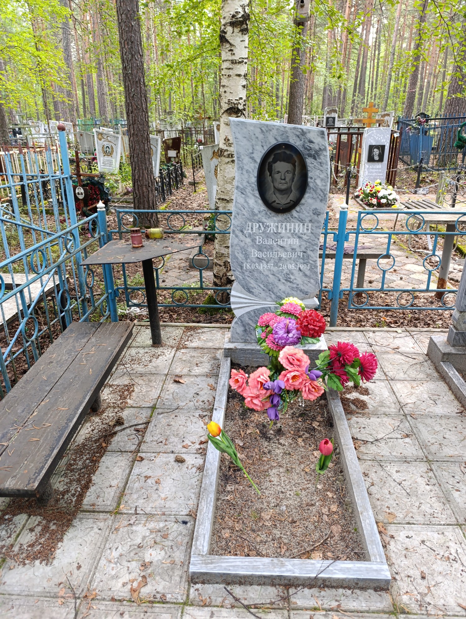 Дружинин Валентин Васильевич