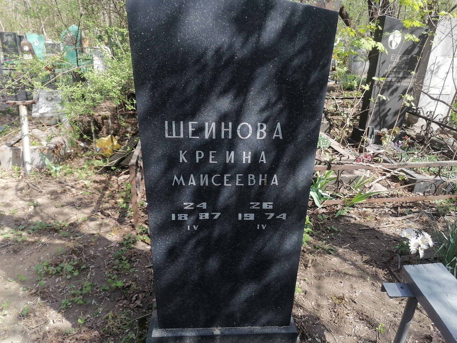 Шеинова Креина Маисеевна