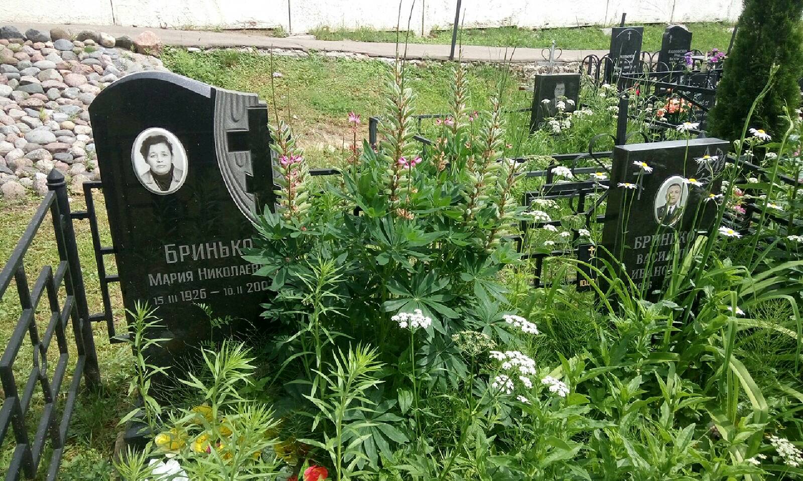 Бринько Василий Иванович
