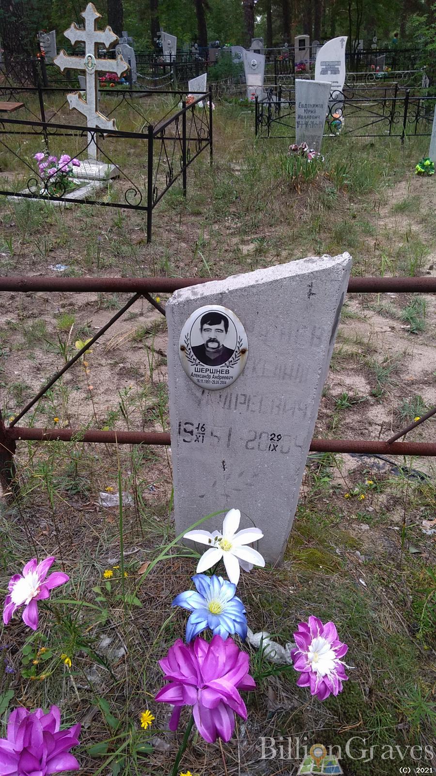 Шершнев Александр Андреевич