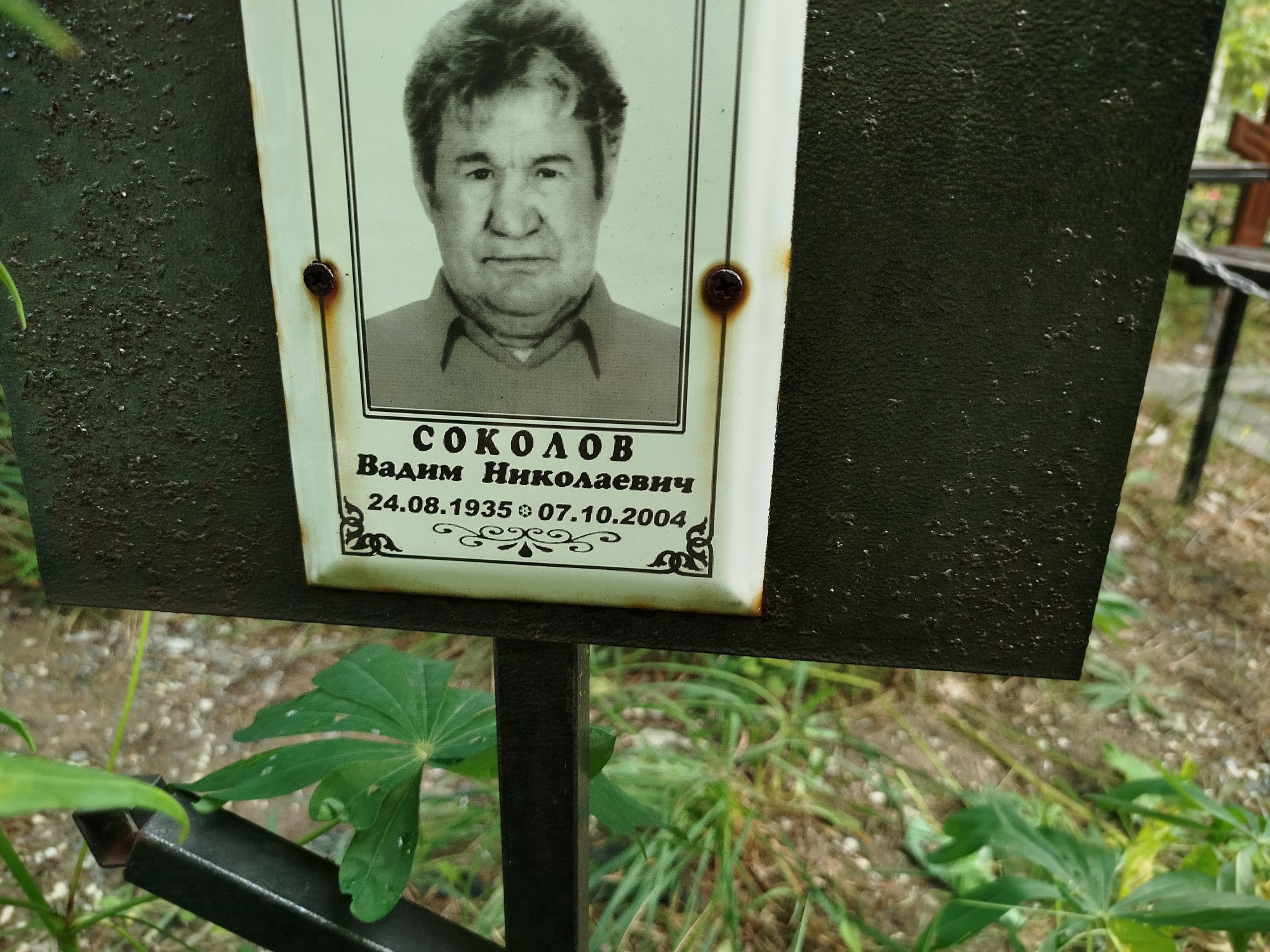 Соколов Вадим Николаевич