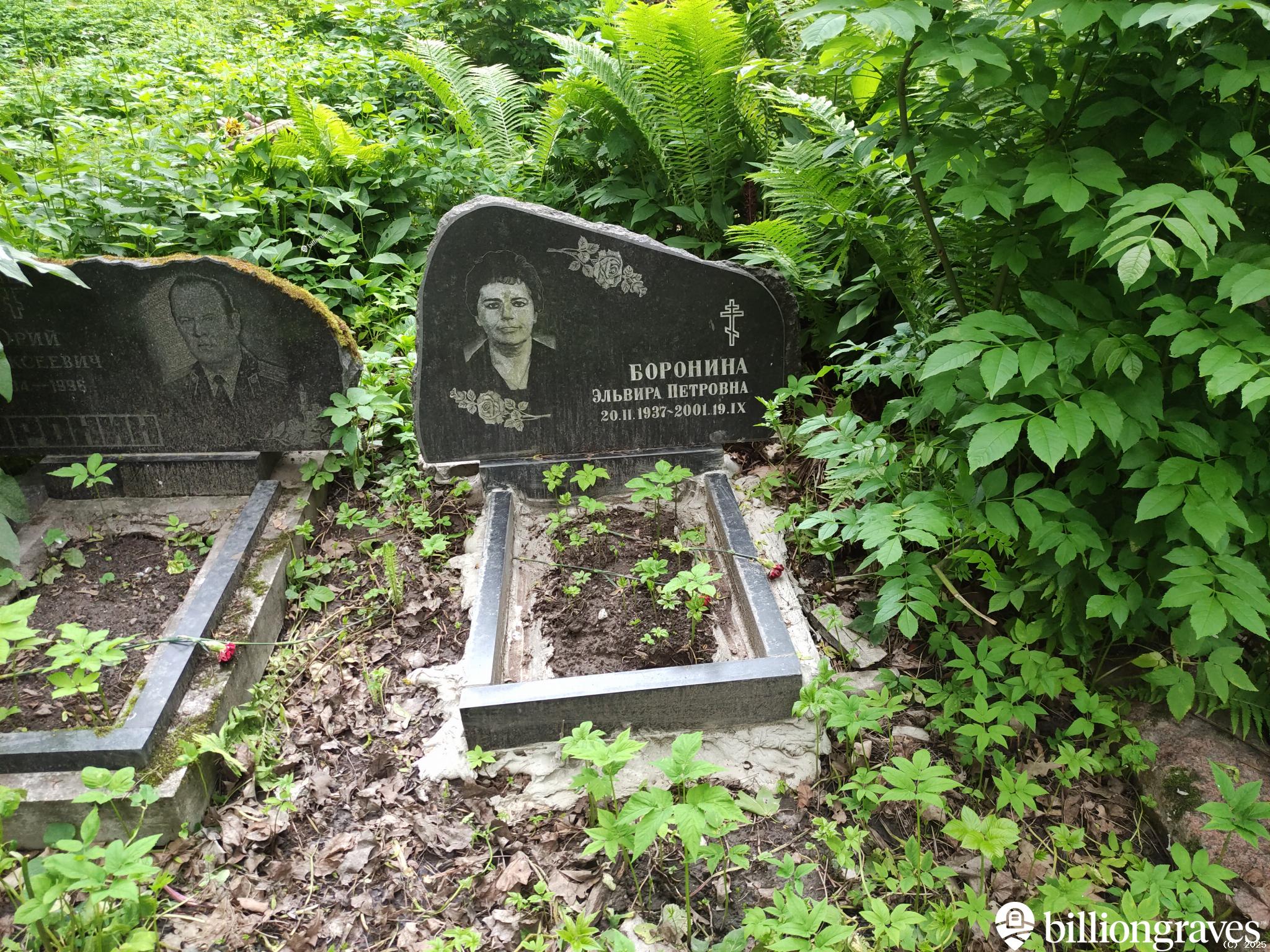 Боронина Эльвира Петровна