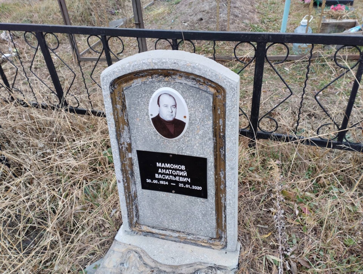 Мамонов Анатолий Васильевич