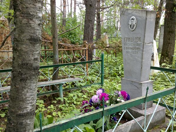 Грицаюк Александр Ефимович