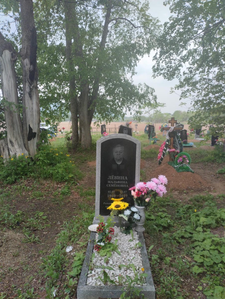 Левина Мальвина Семеновна