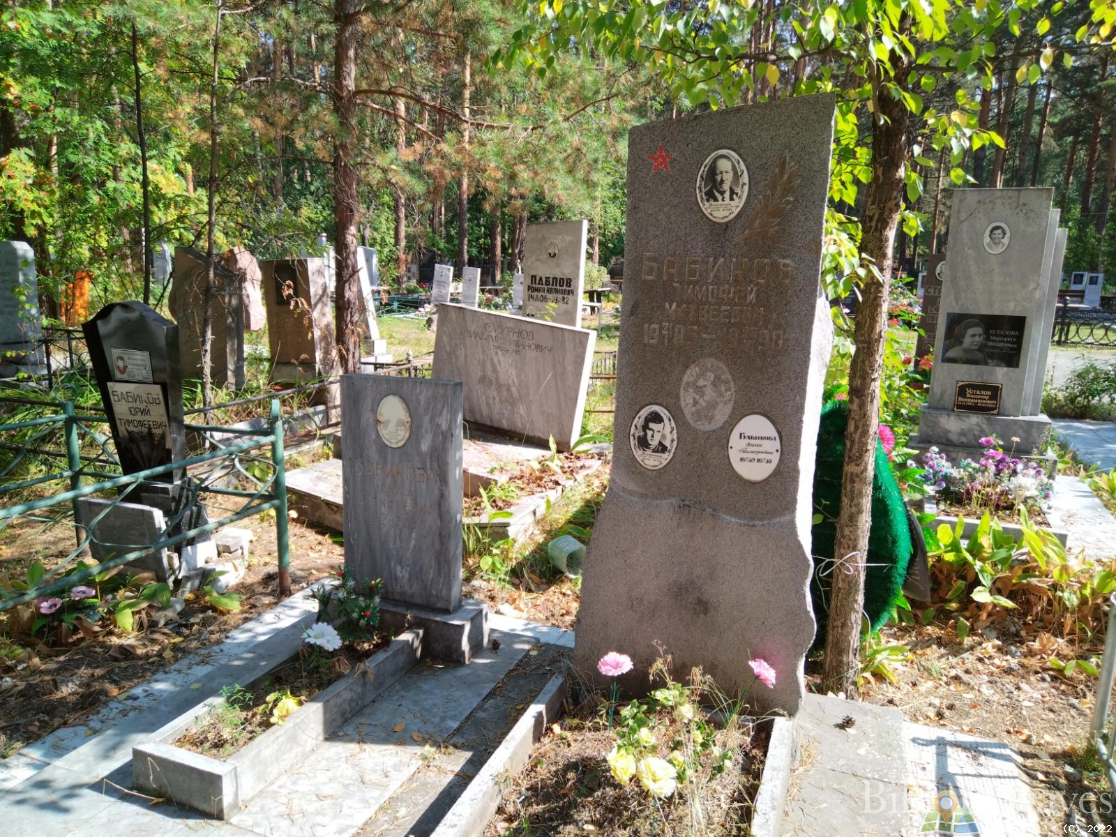 Бабикова Анна Алексеевна