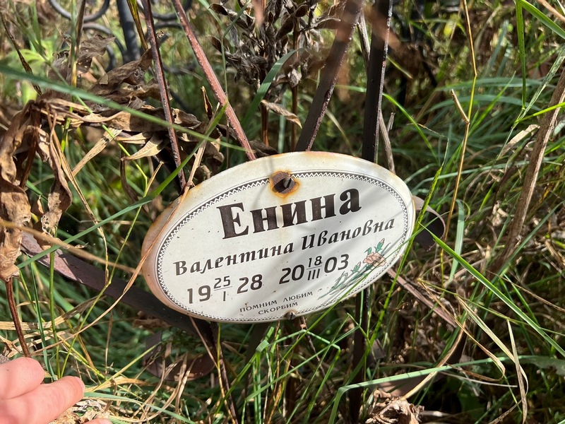 Енина