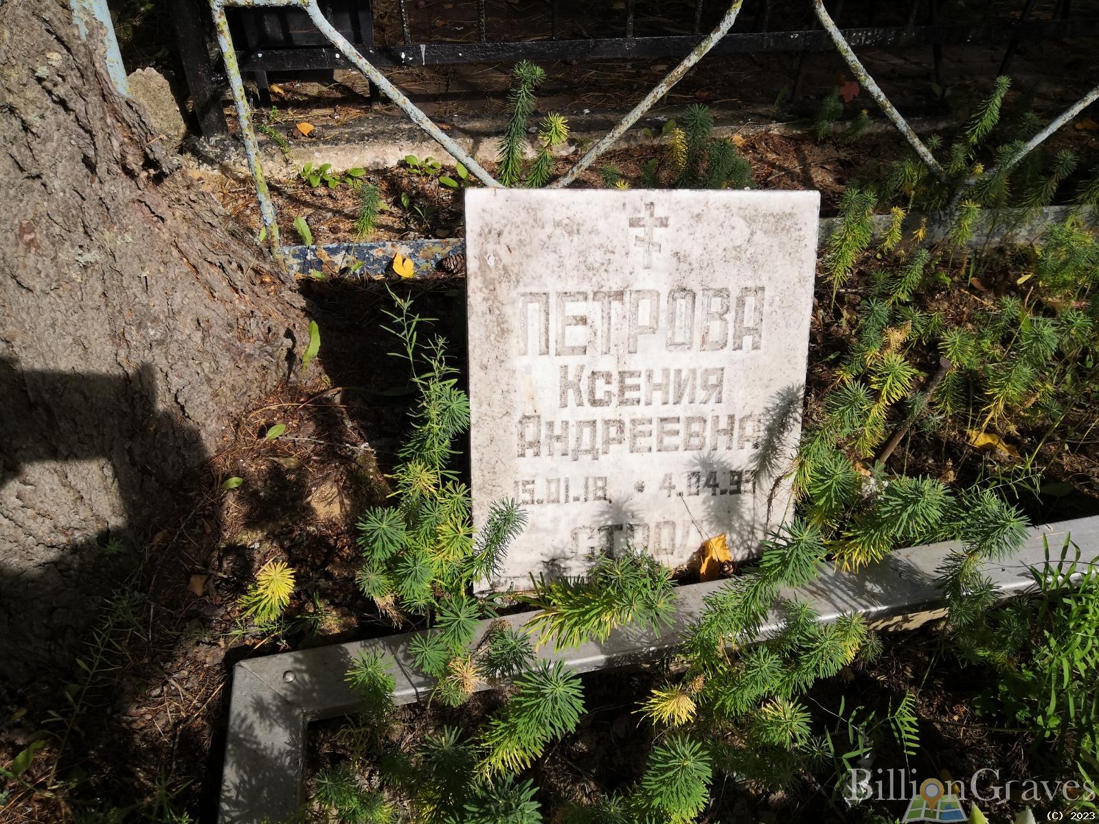 Петрова Ксения Андреевна