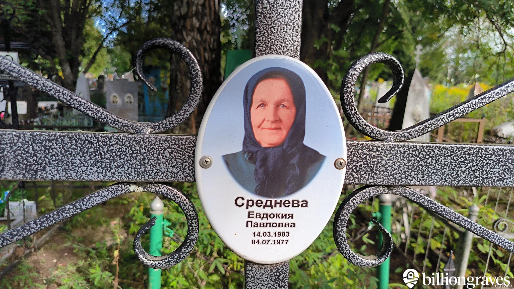 Среднева Евдокия Павловна