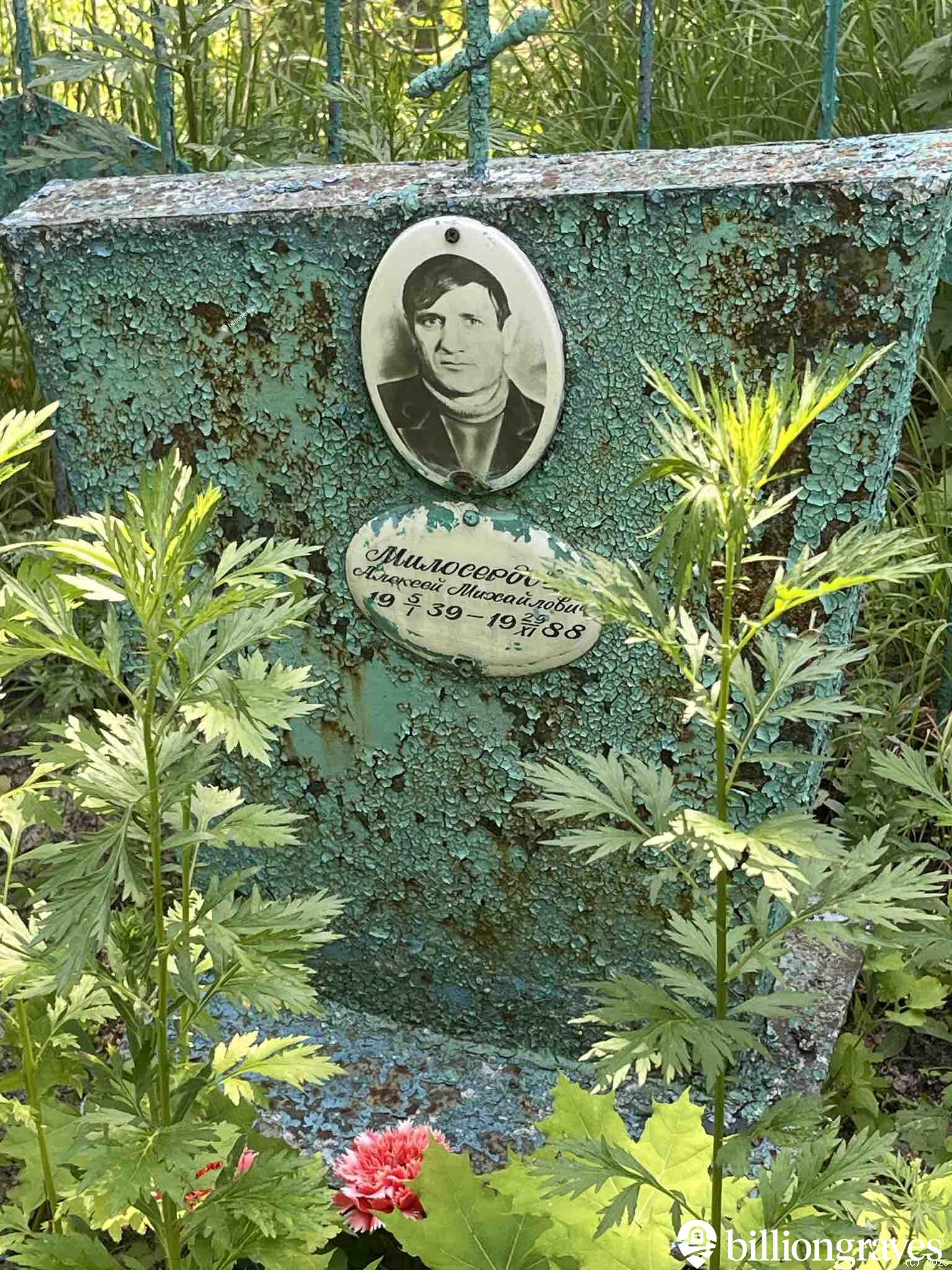 Милосердов Алексей Михайлович