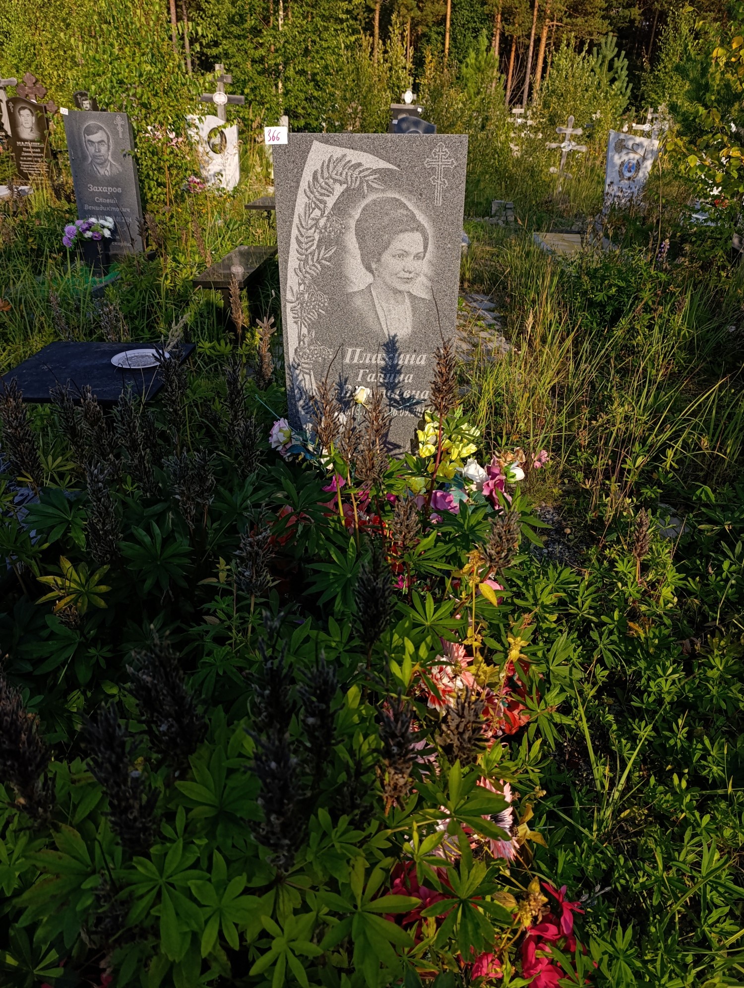 Плахина Галина Васильевна